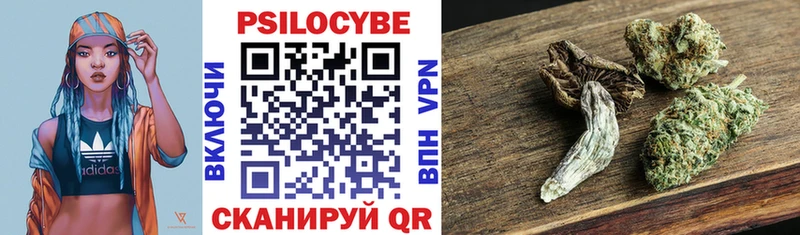 Псилоцибиновые грибы Psilocybe  купить наркоту  Сорск 